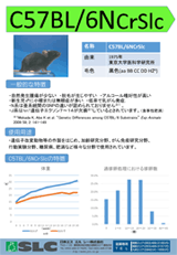 日本エスエルシー株式会社